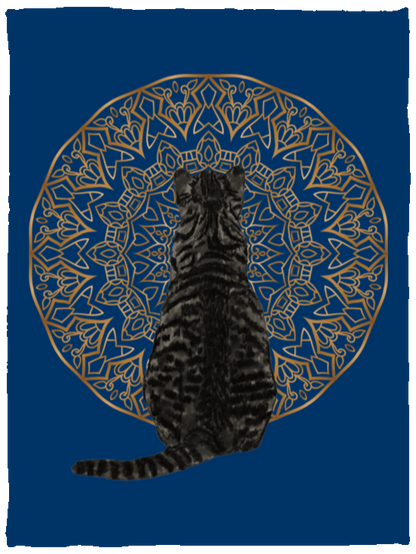 Zen Cat - American Shorthair Dark Grey Fleece Blankets